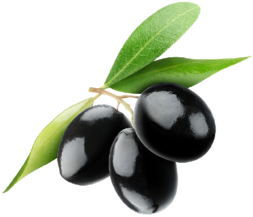 Naturel Sızma Zeytinyağları